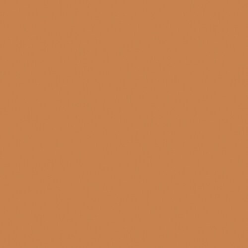 HGTV HOME by Sherwin-Williams Pumpkin Curry Interior Eggshell Paint ...