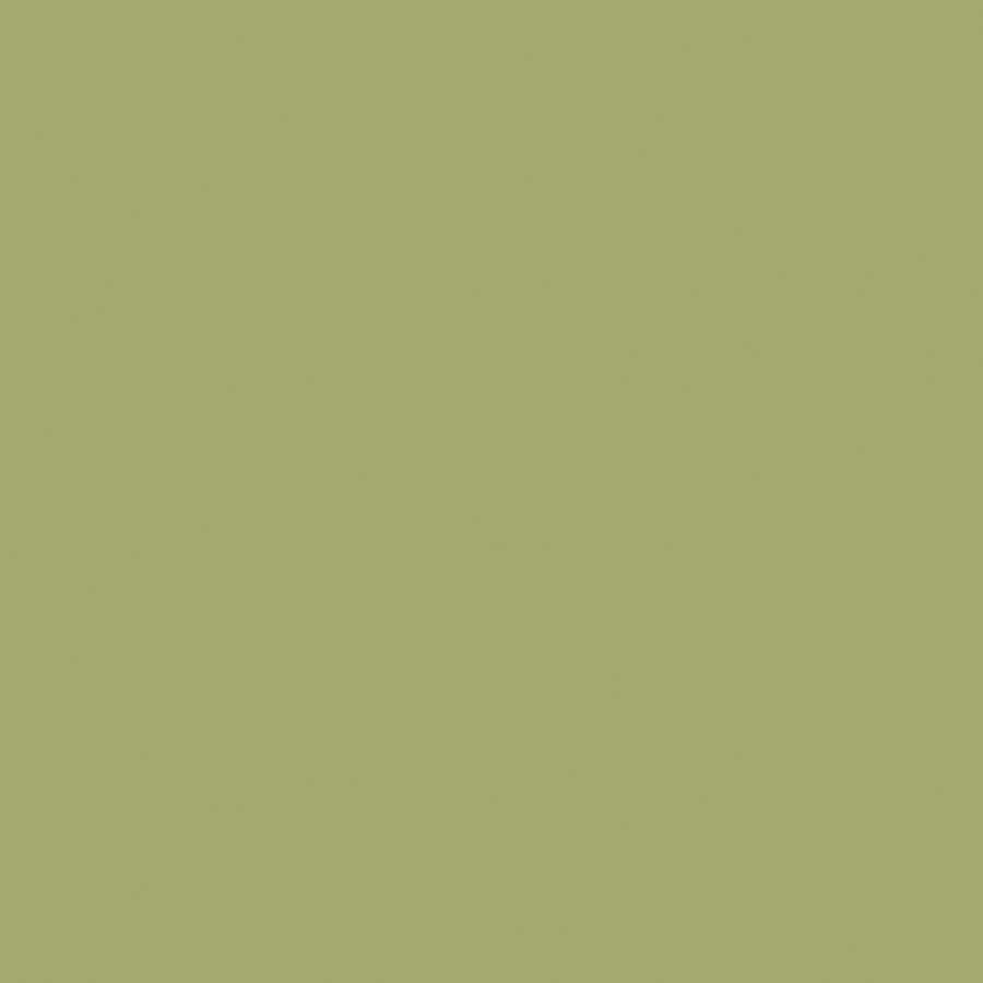 HGTV HOME by Sherwin-Williams Mangrove Interior Eggshell Paint Sample