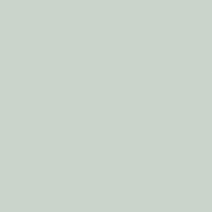 HGTV HOME by Sherwin-Williams HGSW2277 Mod Mint Interior Eggshell Paint Sample (Actual Net Contents: 31-fl oz)