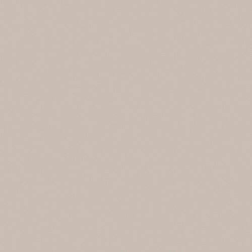 HGTV HOME by SherwinWilliams Adley Grey Interior Paint Sample (Half