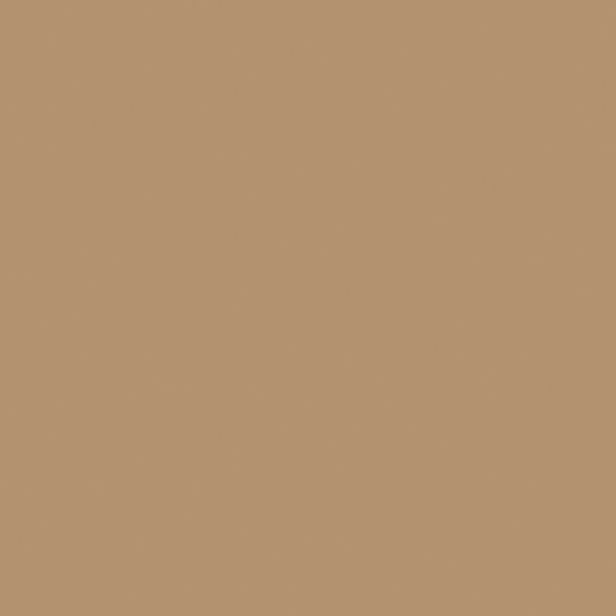 HGTV HOME by Sherwin-Williams HGSW3133 Cracked Wheat Interior Eggshell Paint Sample (Actual Net Contents: 29.5-fl oz)