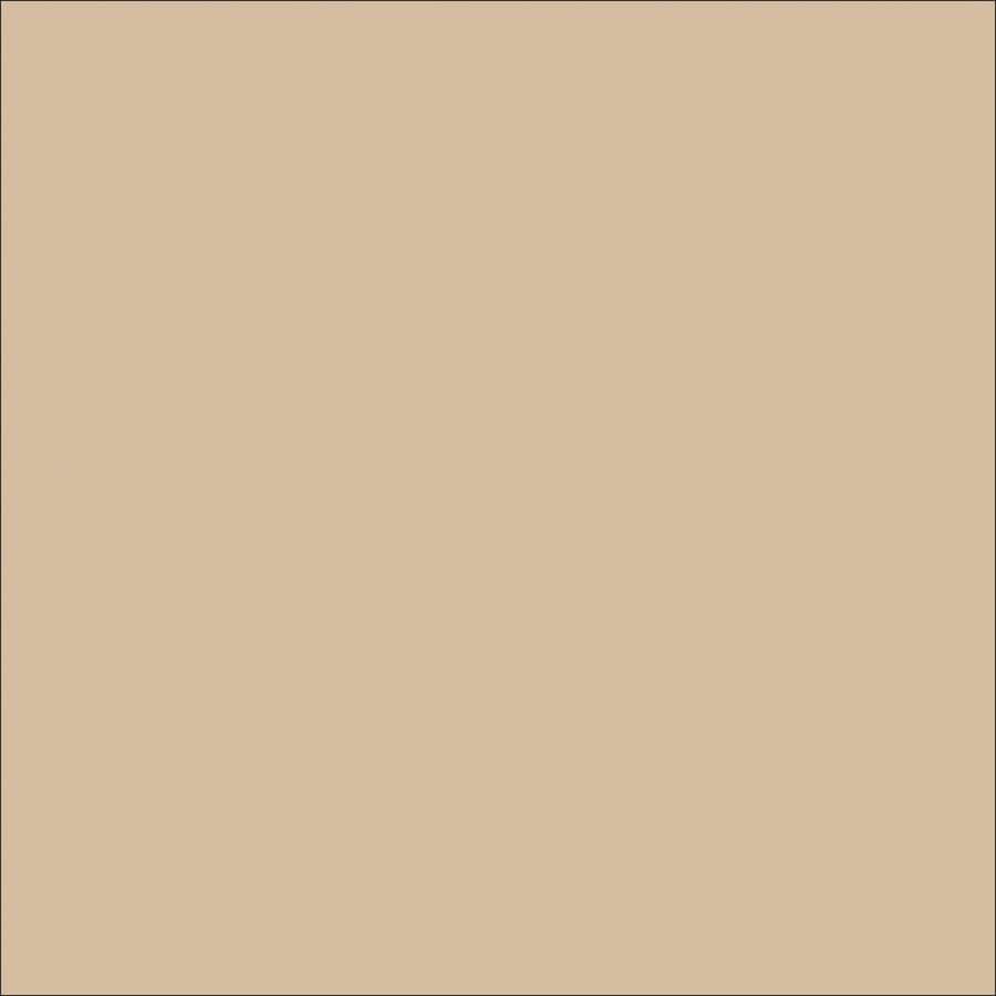 HGTV HOME by Sherwin-Williams Almeria Interior Eggshell Paint Sample ...