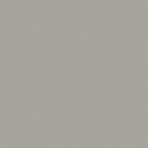 HGTV HOME by SherwinWilliams Marsh Grasses Interior Eggshell Paint