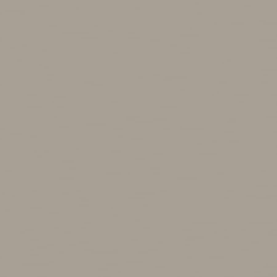 HGTV HOME by Sherwin-Williams HGSW3484 Curling Willow Interior Eggshell Paint Sample (Actual Net Contents: 29.5-fl oz)