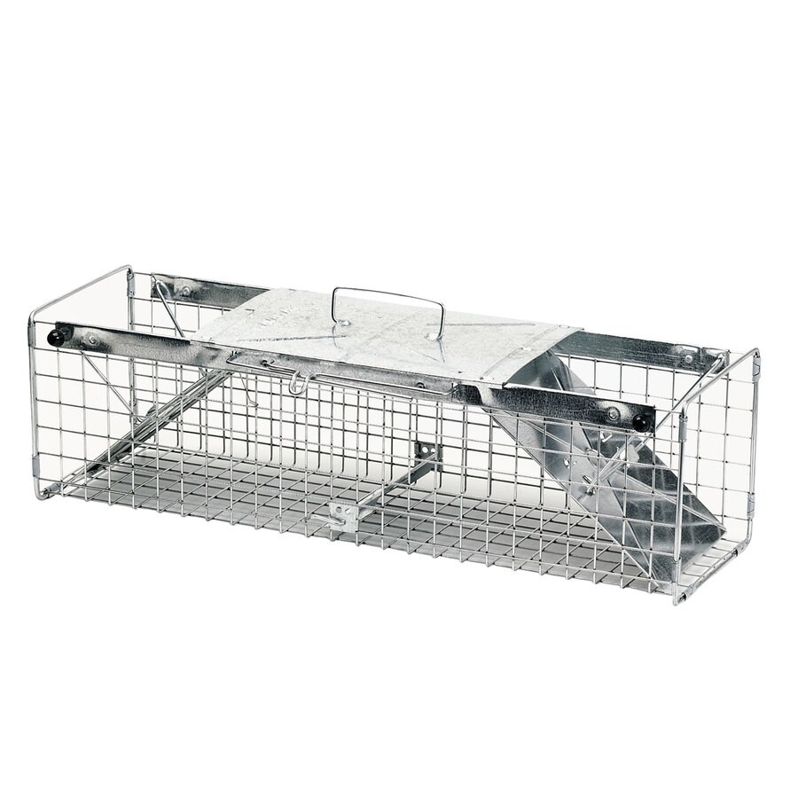 What To Bait A Live Rabbit Trap With at Frances Brock blog