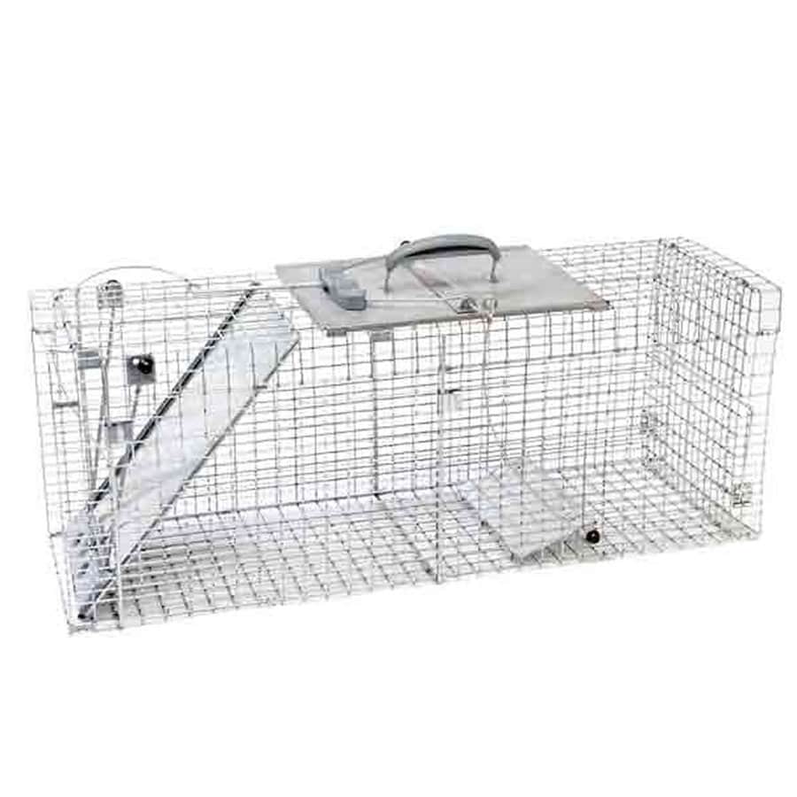 Havahart 1 Count Animal Trap at Lowes.com