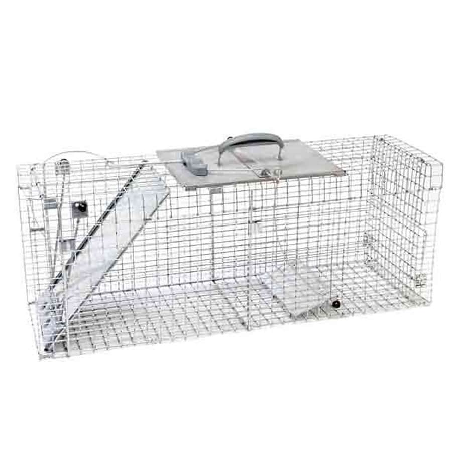 Shop Havahart 39.3-in x 11.75-in x 12-in Steel Animal Trap at Lowes.com