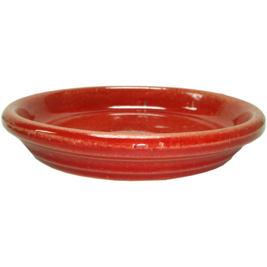 New England Pottery 8.5-in Plant Saucer in the Plant Saucers department ...