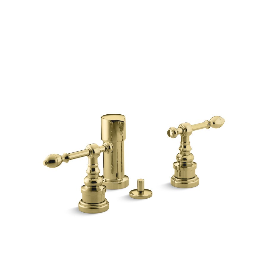 Shop KOHLER IV Vibrant Polished Brass Vertical Spray Bidet