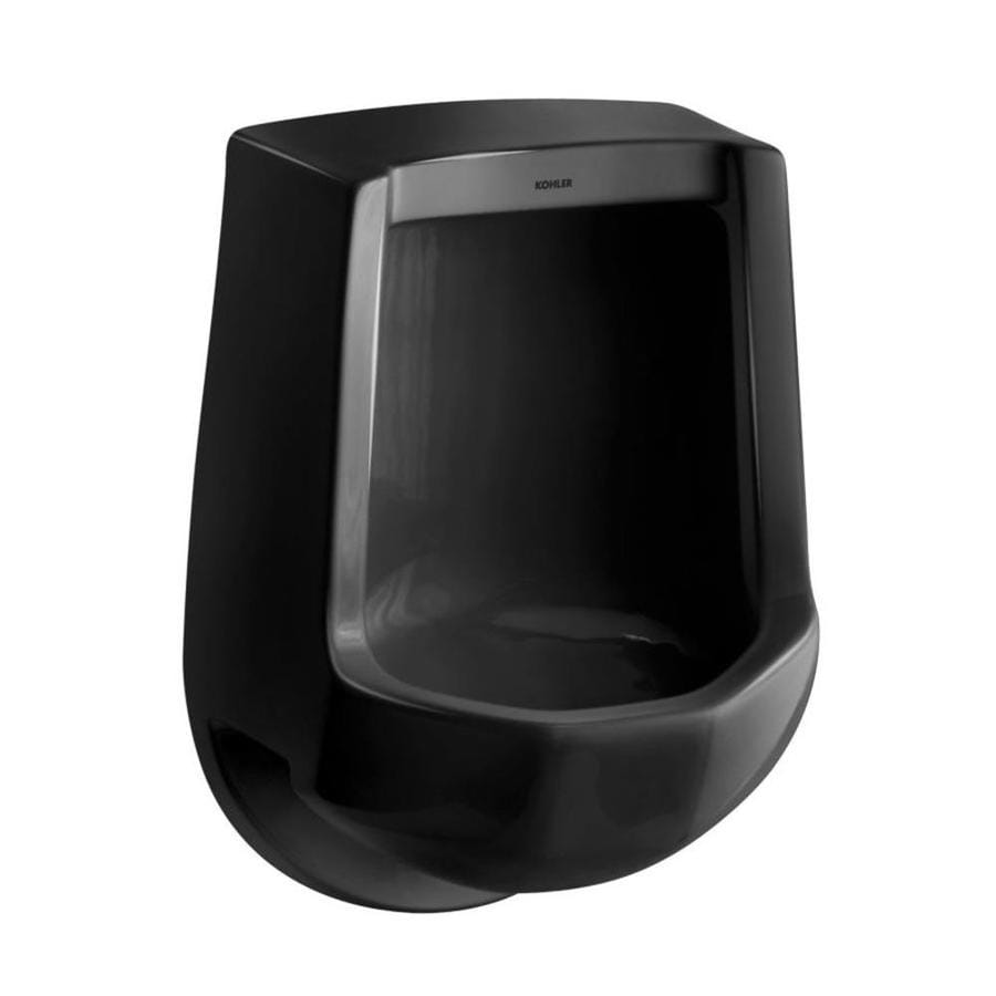 Shop KOHLER 16.25-in W x 24-in H Black Black Wall-Mounted Urinal at ...