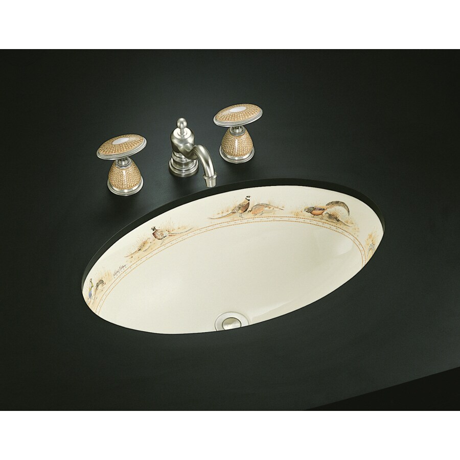 KOHLER Bathroom Sink (23.875in x 14.375in) at