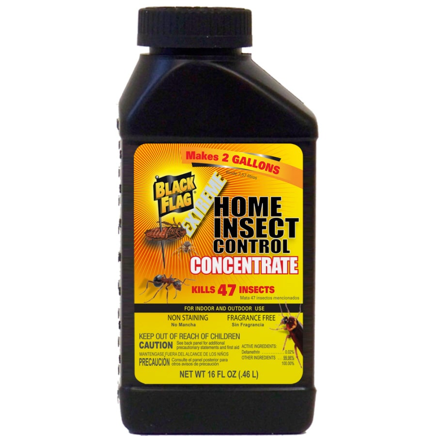 BLACK FLAG Extreme Home Insect Control Concentrate at