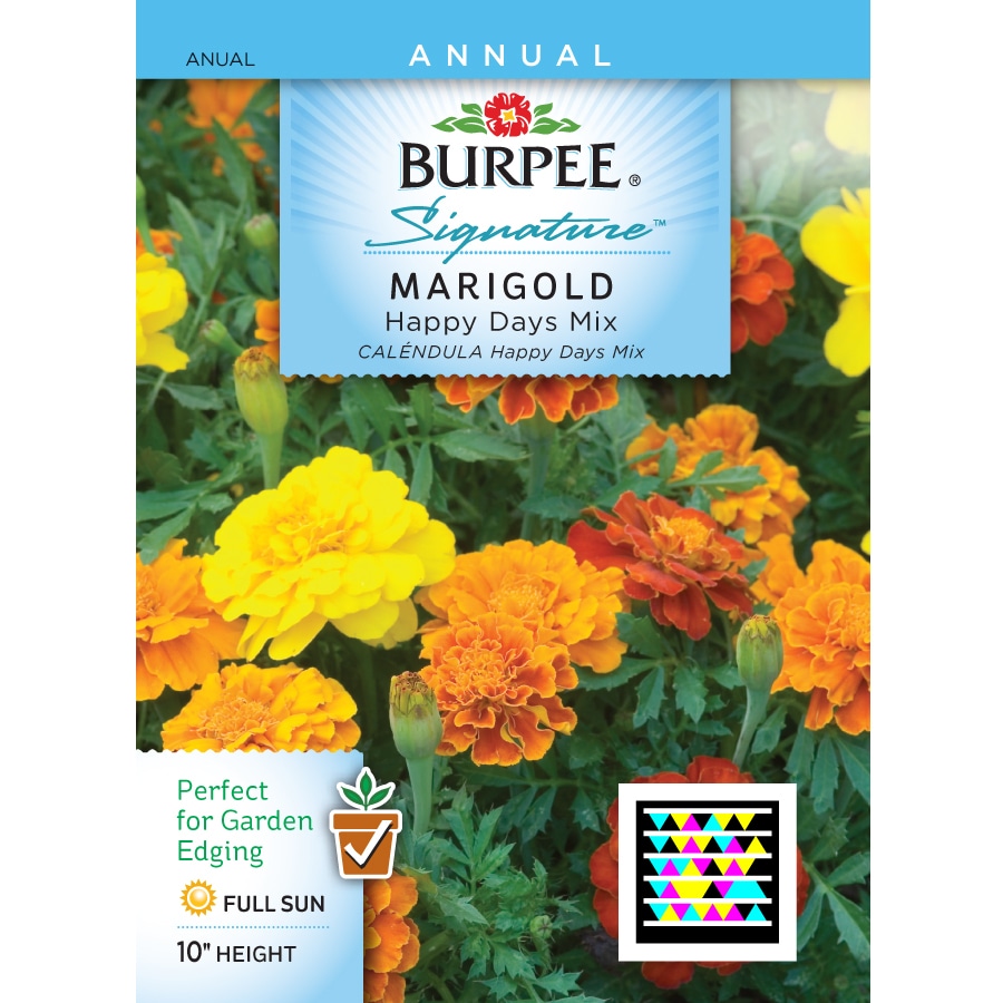 Burpee Marigold Flower Seed Packet at