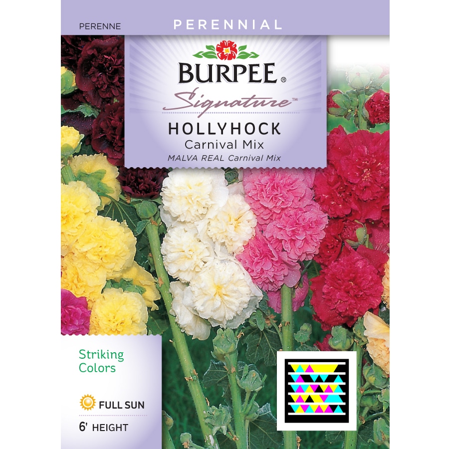 Shop Burpee Hollyhock Flower Seed Packet at Lowes.com