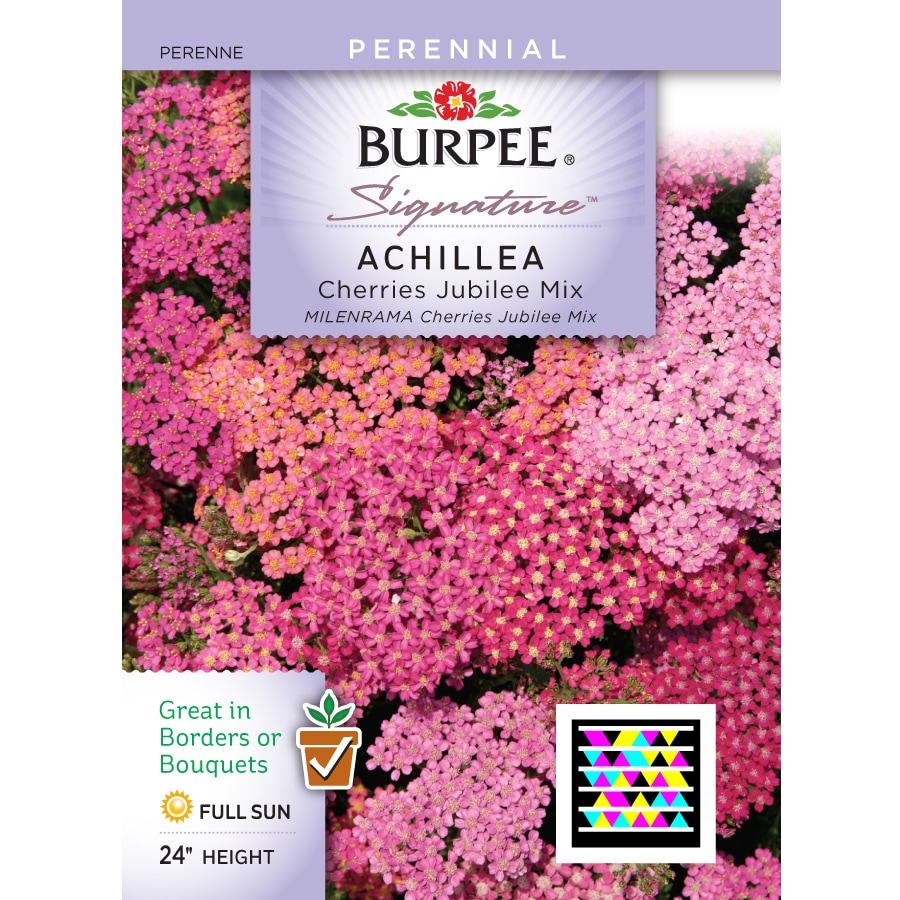 Burpee Achillea Flower Seed Packet at