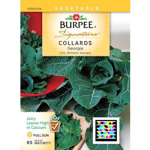 Burpee Collards Vegetable Seed Packet in the Flower Seeds department at