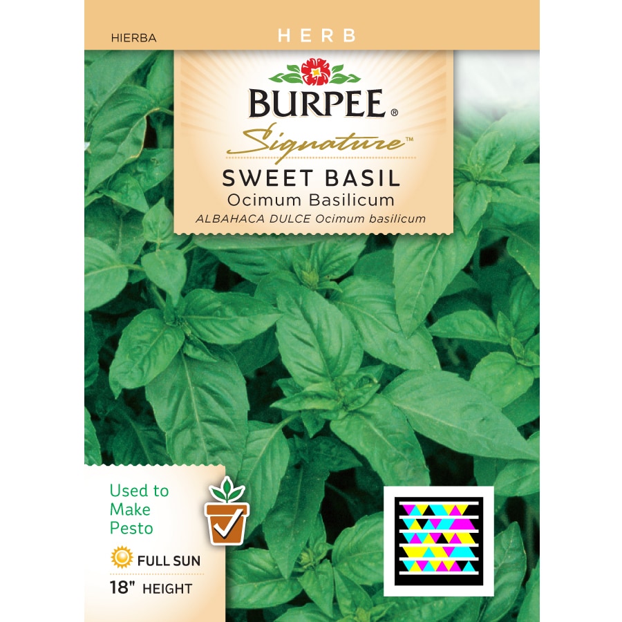 Burpee Basil Herb Seed Packet at Lowes