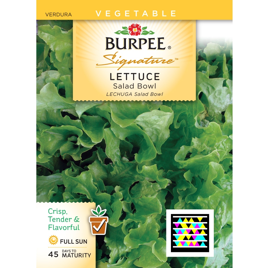 Burpee Lettuce Vegetable Seed Packet at