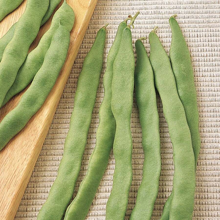 Burpee 63123A Neapolitan Pole Bean Seed Packet