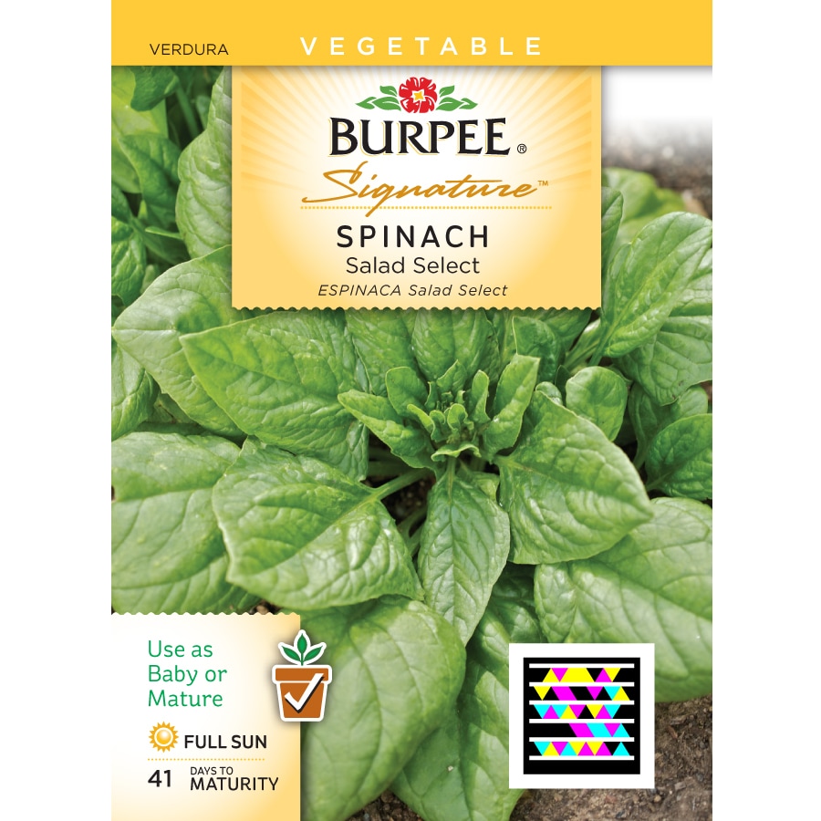 Burpee Spinach Vegetable Seed Packet in the Flower Seeds department at