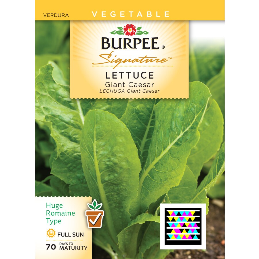Burpee Lettuce Vegetable Seed Packet at