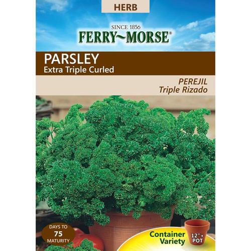 FerryMorse 1.25Gram Parsley Extra Triple Curled (L0000) in the Vegetable & Herb Seeds