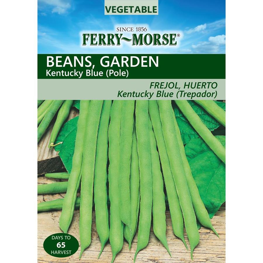 Ferry-Morse 21-Grams Bean Kentucky Blue (Pole) (L0000) at Lowes.com