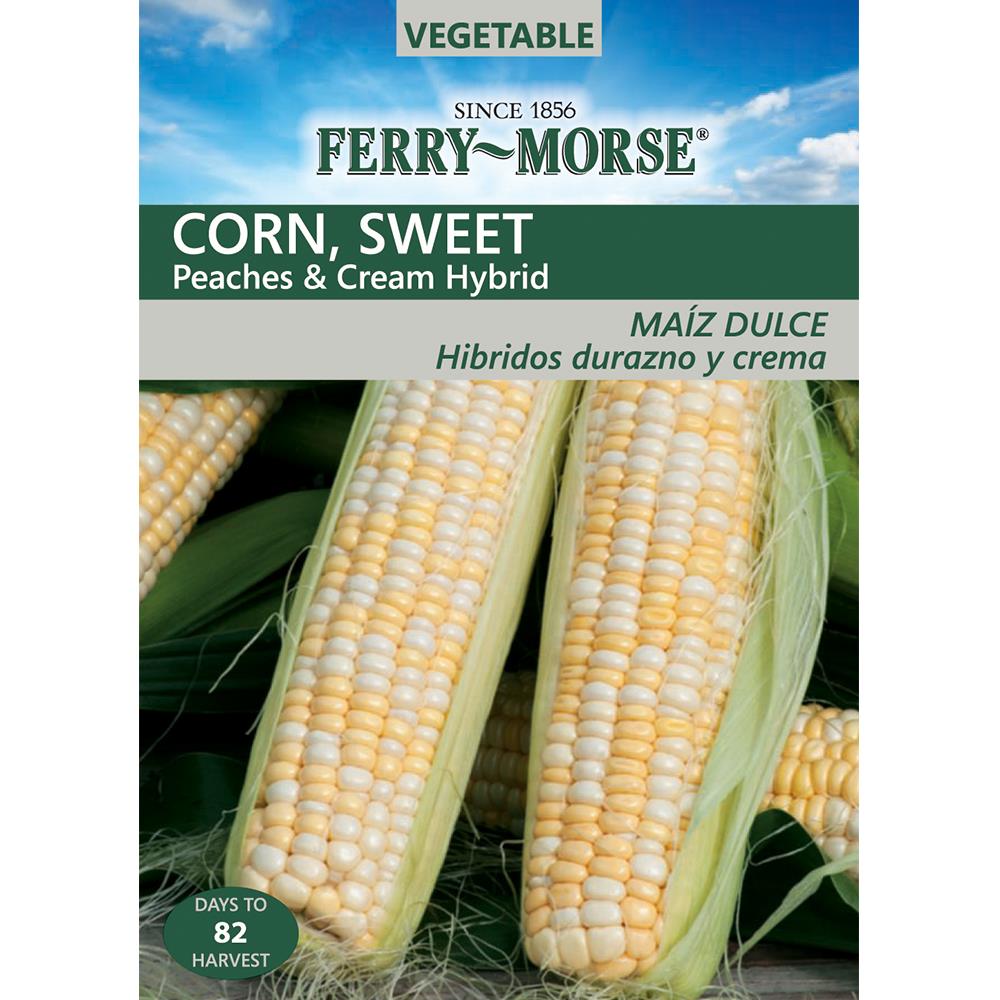 FerryMorse 12 Gram(S) Sweet Corn Peaches and Cream Hybrid (L0000) at