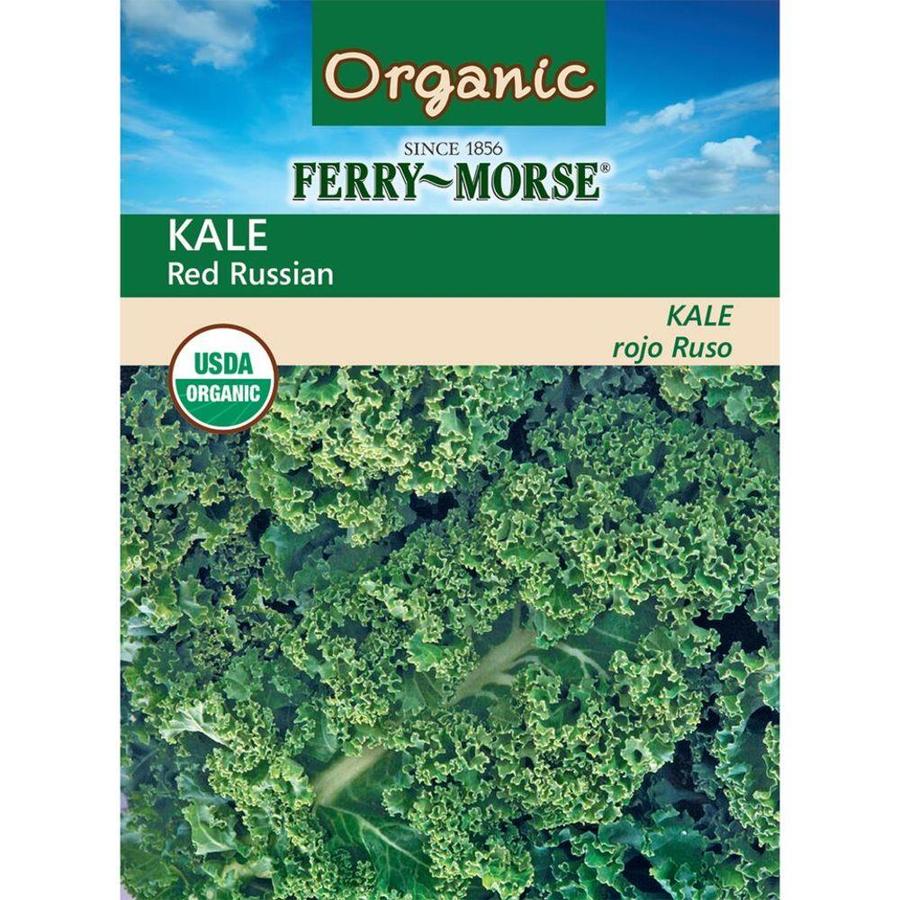 Ferry-Morse Organic Kale Red Russian in the Vegetable & Herb Seeds ...