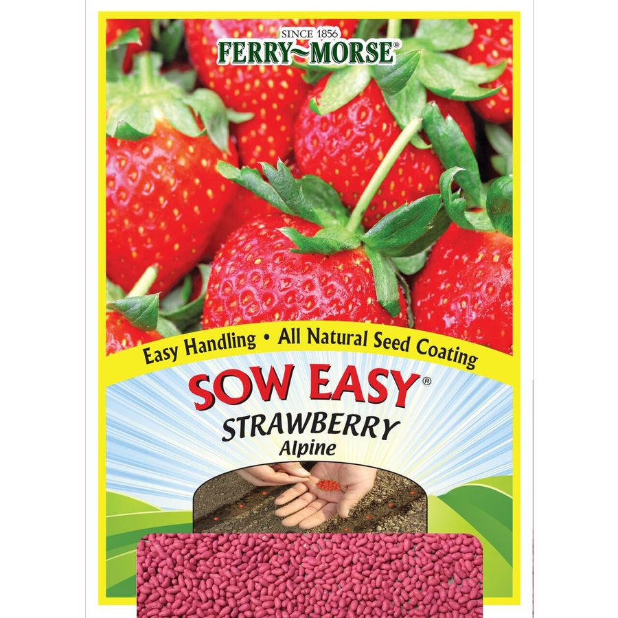 FerryMorse Sow Easy 125Count Sow Easy Strawberry Alpine (L0000) at