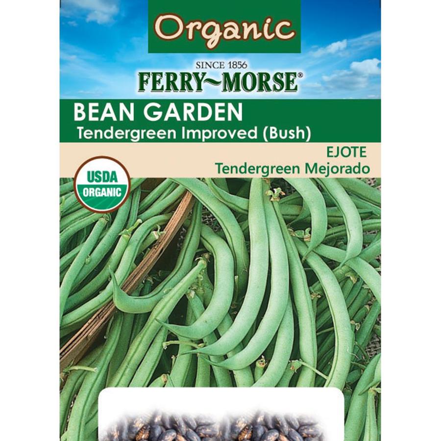 Ferry-Morse 21 Gram(s) Bean Tendergreen Improved Bush (L0000) in the ...