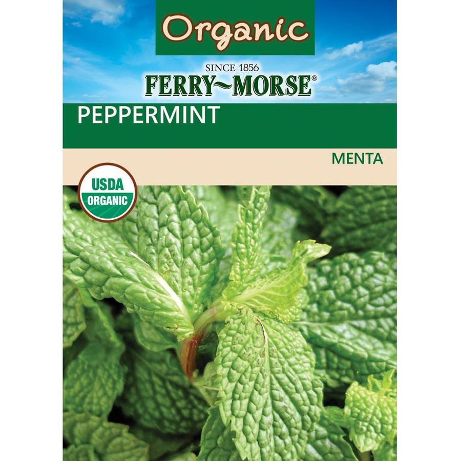 FerryMorse 125 MilliGram Peppermint (L0000) at