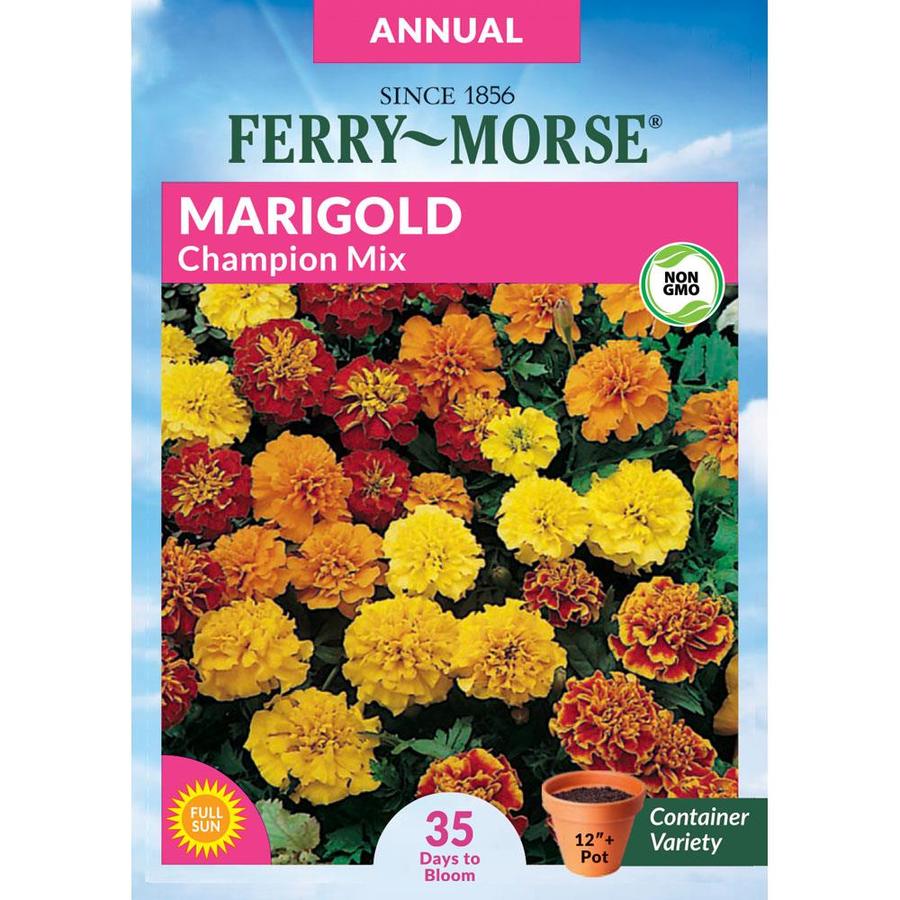 Ferry-Morse Ferry-Morse 300 Milligram(s) Marigold Champion Mix Flower ...