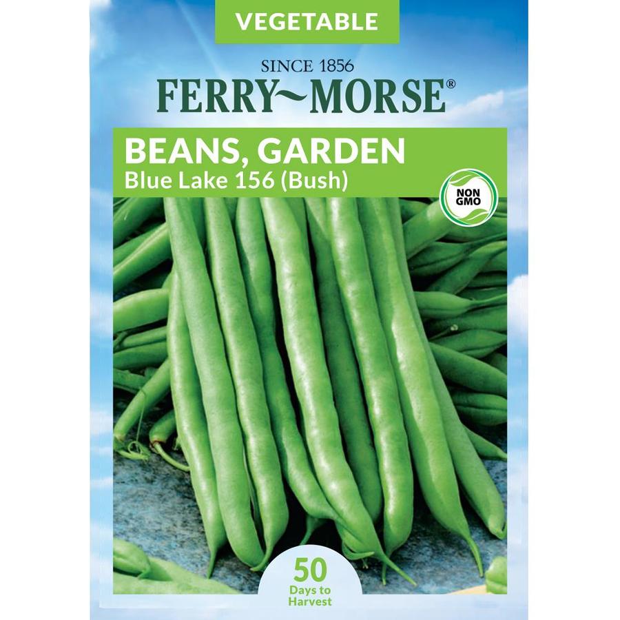 Ferry-Morse 14 Gram(s) Bean Blue Lake 156 Bush Vegetable (Seed Packet ...