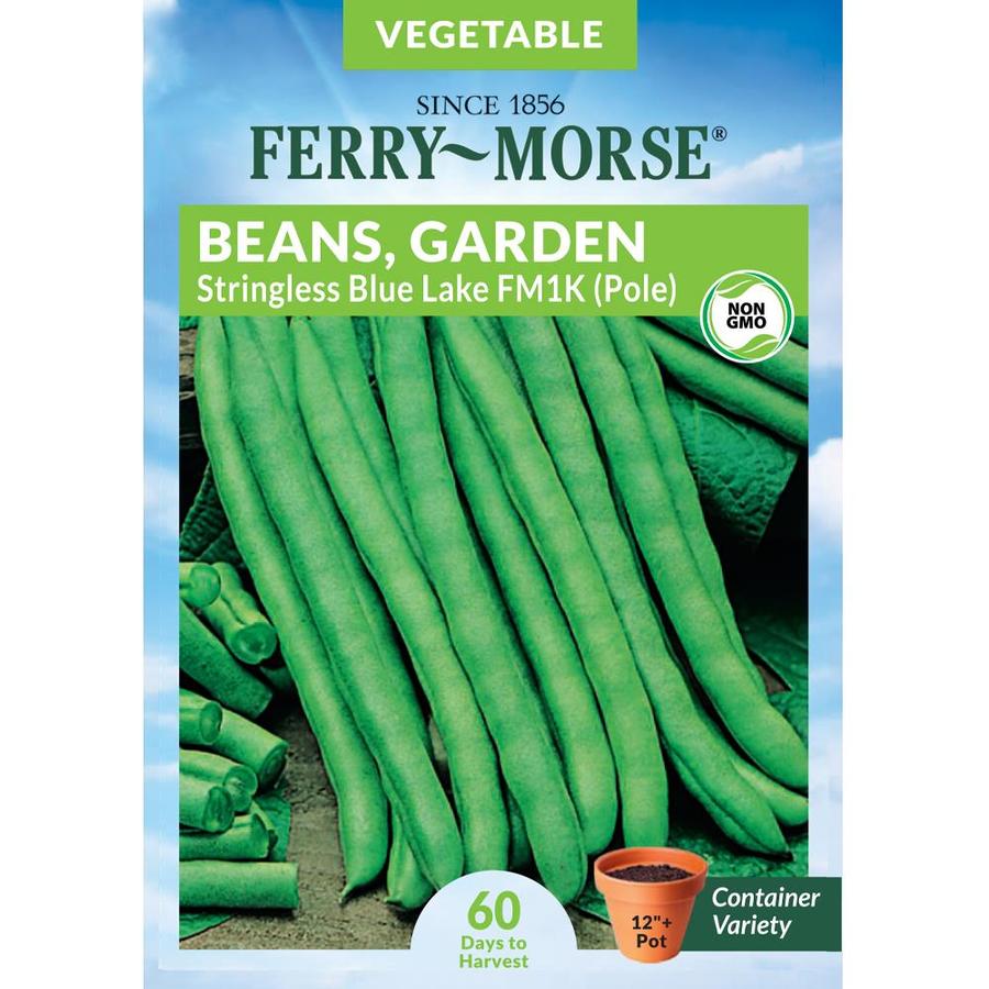 Ferry-Morse 21 Gram(s) Bean Stringless Blue Lake FM1K Vegetable (Seed ...