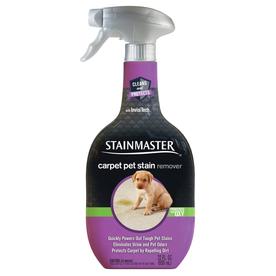 STAINMASTER 28-oz Cat and Dog Stain and Odor Remover Power Sprayer