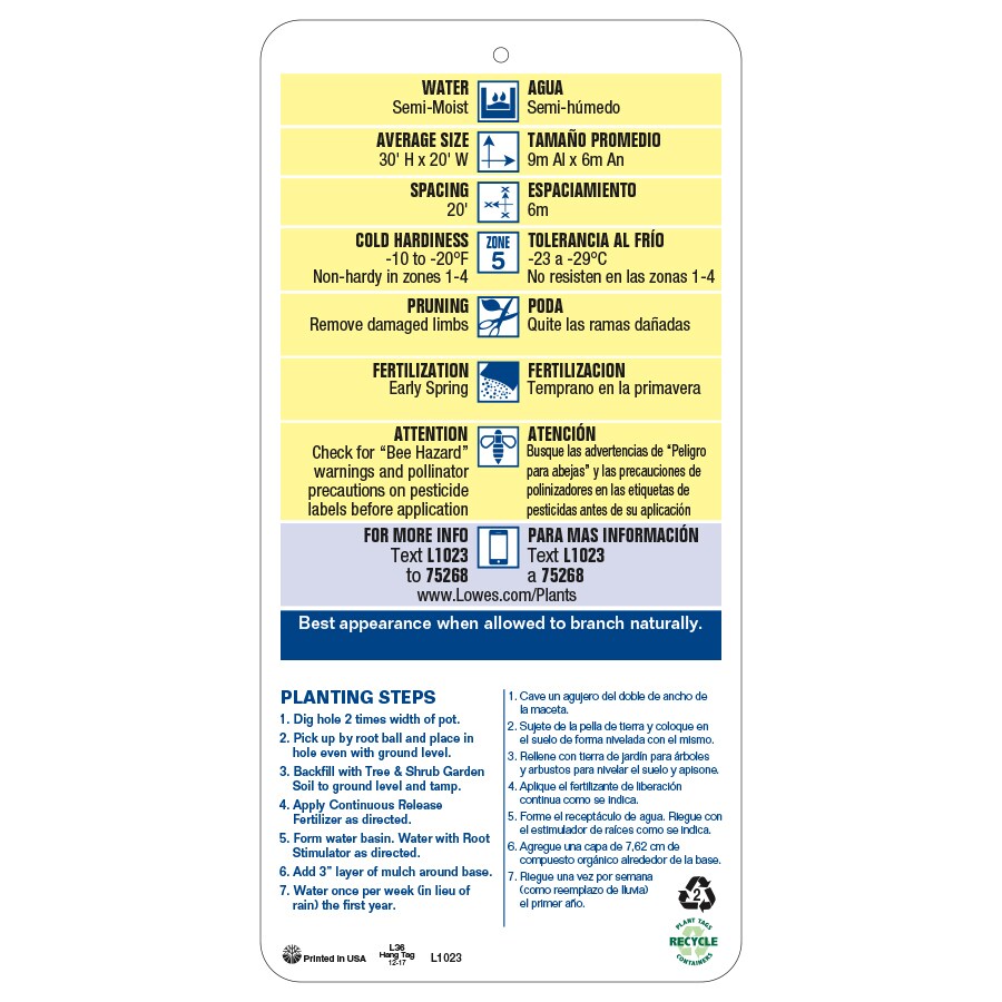 Lowe's NURSERY trees - View #3