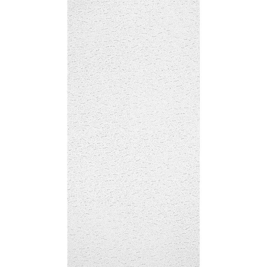 Common 48 In X 24 In Actual 47 719 In X 23 719 In Textured Contractor 10 Pack White Fissured 15 16 In Drop Acoustic Panel Ceiling Tiles