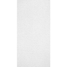 UPC 042369000086 product image for Armstrong 10-Pack Textured Contractor Ceiling Tile Panel (Common: 24-in x 48-in; | upcitemdb.com