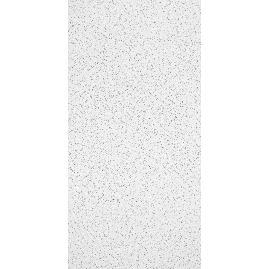 Common 48 In X 24 In Actual 47 719 In X 23 719 In Random Textured Contractor 10 Pack White Fissured 15 16 In Drop Acoustic Panel Ceiling Tiles