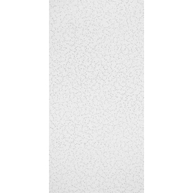 Armstrong  8 -Pack Random Textured Contractor Ceiling Tile Panel (Common: 24-in x 48-in; Actual 23.719-in x 47.719-in)