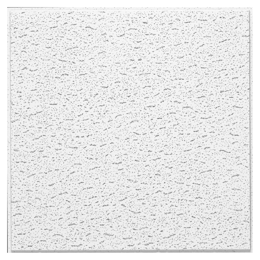 Armstrong 24" x 24" Contractor Textured Ceiling Panel in the Ceiling