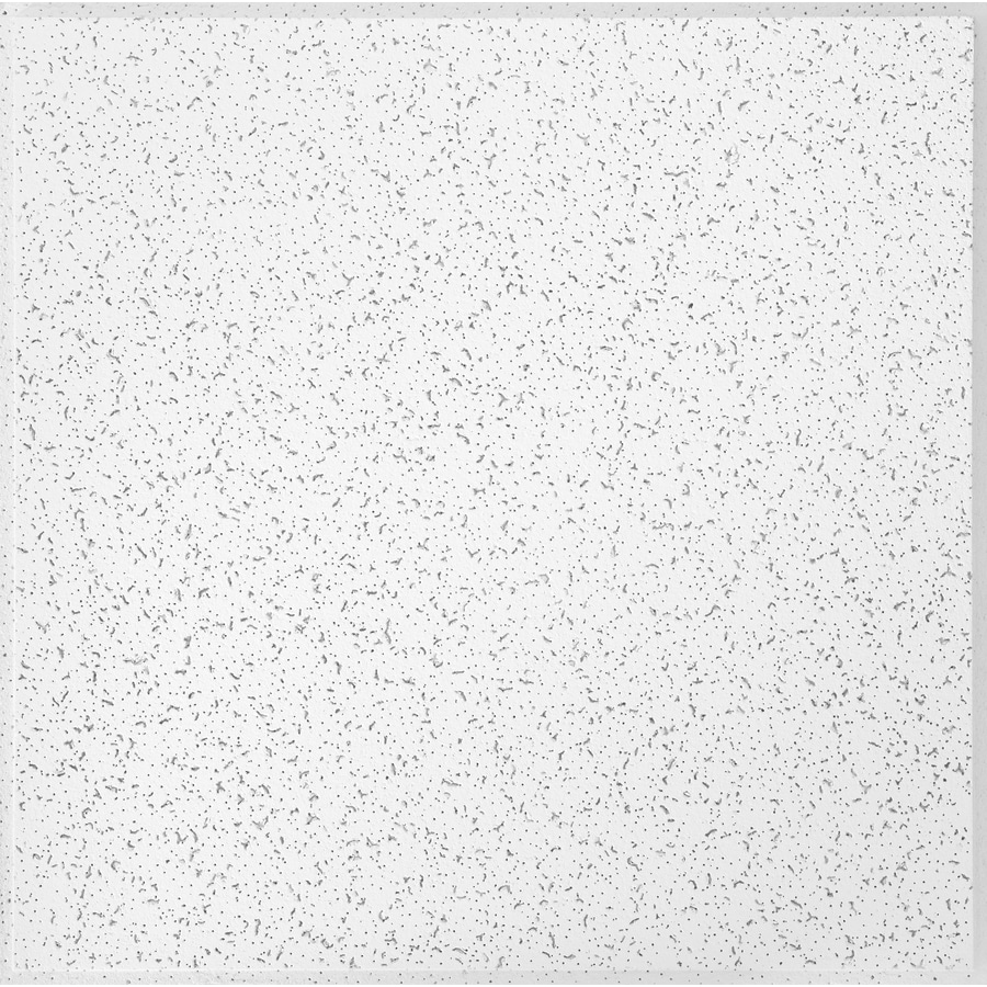 Common 24 In X 24 In Actual 23 532 In X 23 532 In Random Textured Contractor 16 Pack White Fissured 15 16 In Drop Acoustic Panel Ceiling Tiles