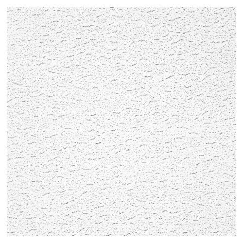 Armstrong 2' x 2' Contractor Textured Ceiling Panel (16) in the Ceiling ...