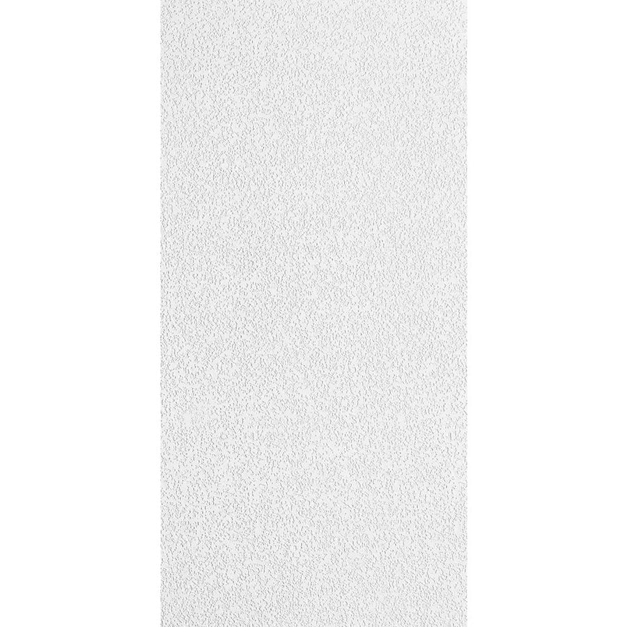 Common 48 In X 24 In Actual 47 625 In X 23 625 In Random Fissured Fiberglass Contractor 16 Pack White Textured 15 16 In Drop Acoustic Panel