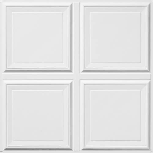 Armstrong 6 Pack Raised Panel Homestyle Ceiling Tile Panel Common
