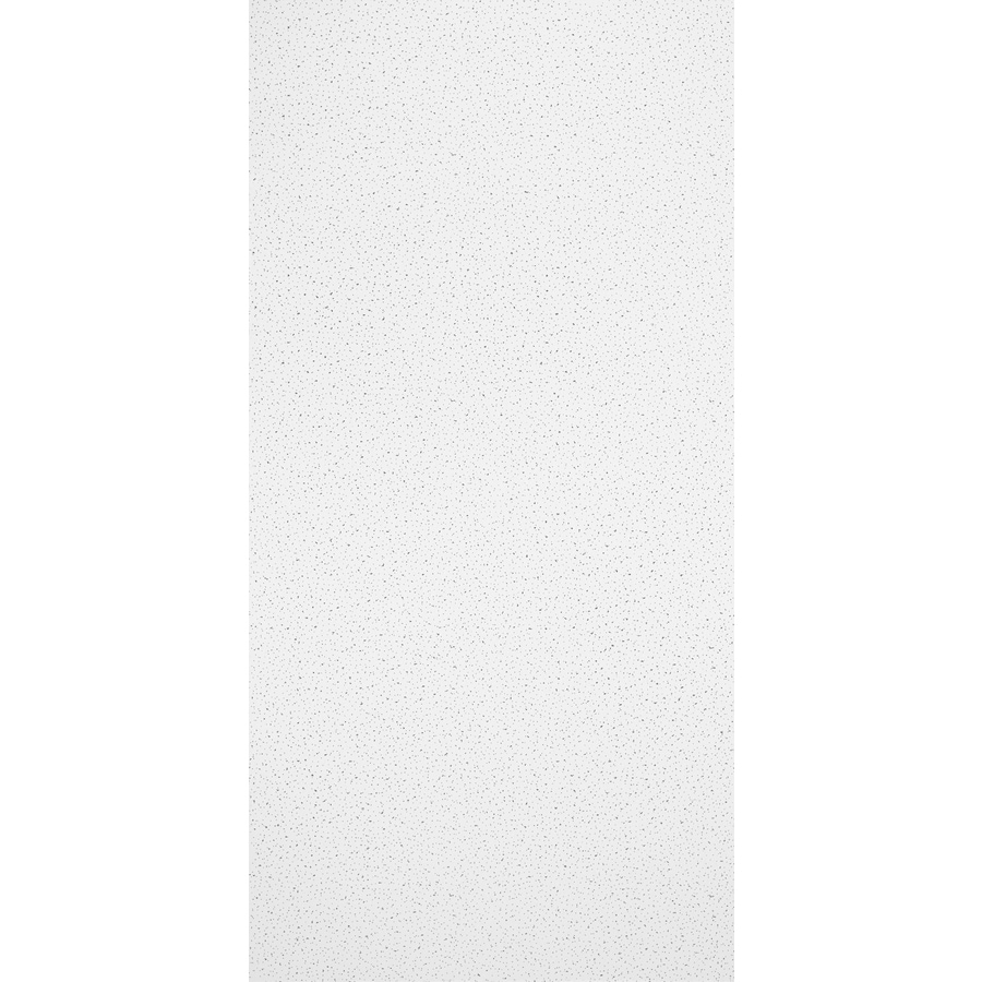 Armstrong 1729A 24" x 48" Fine Fissured Ceiling Panel