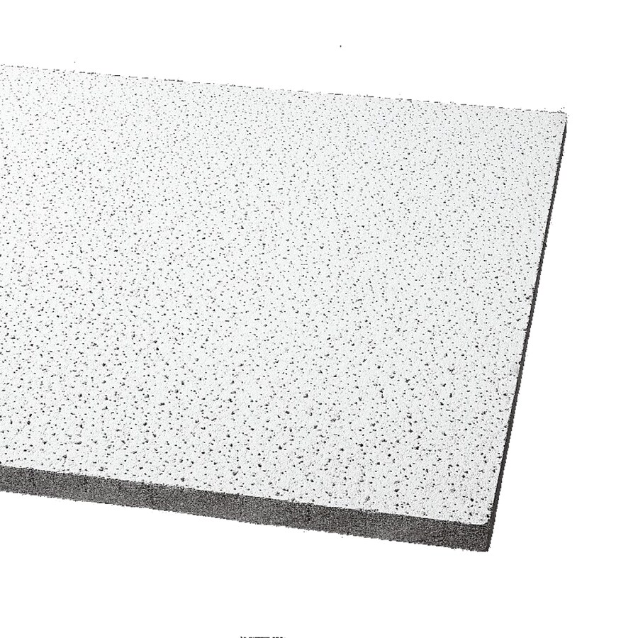 10 Pack Fine Fissured Ceiling Tile Panels