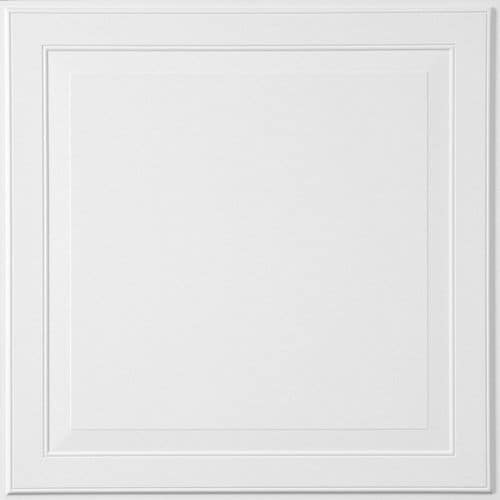 Armstrong Ceilings Common 24 In X 24 In Actual 23 735 In X 23 735 In Single Raised 6 Pack White Patterned 15 16 In Drop Acoustic Panel Ceiling