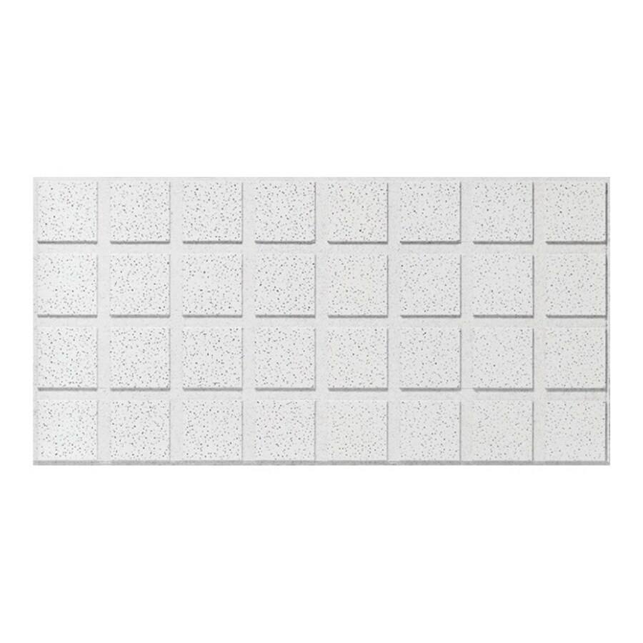 Armstrong 2' x 4' Commercial Fine Fissured Ceiling Panel (10) at Lowes.com